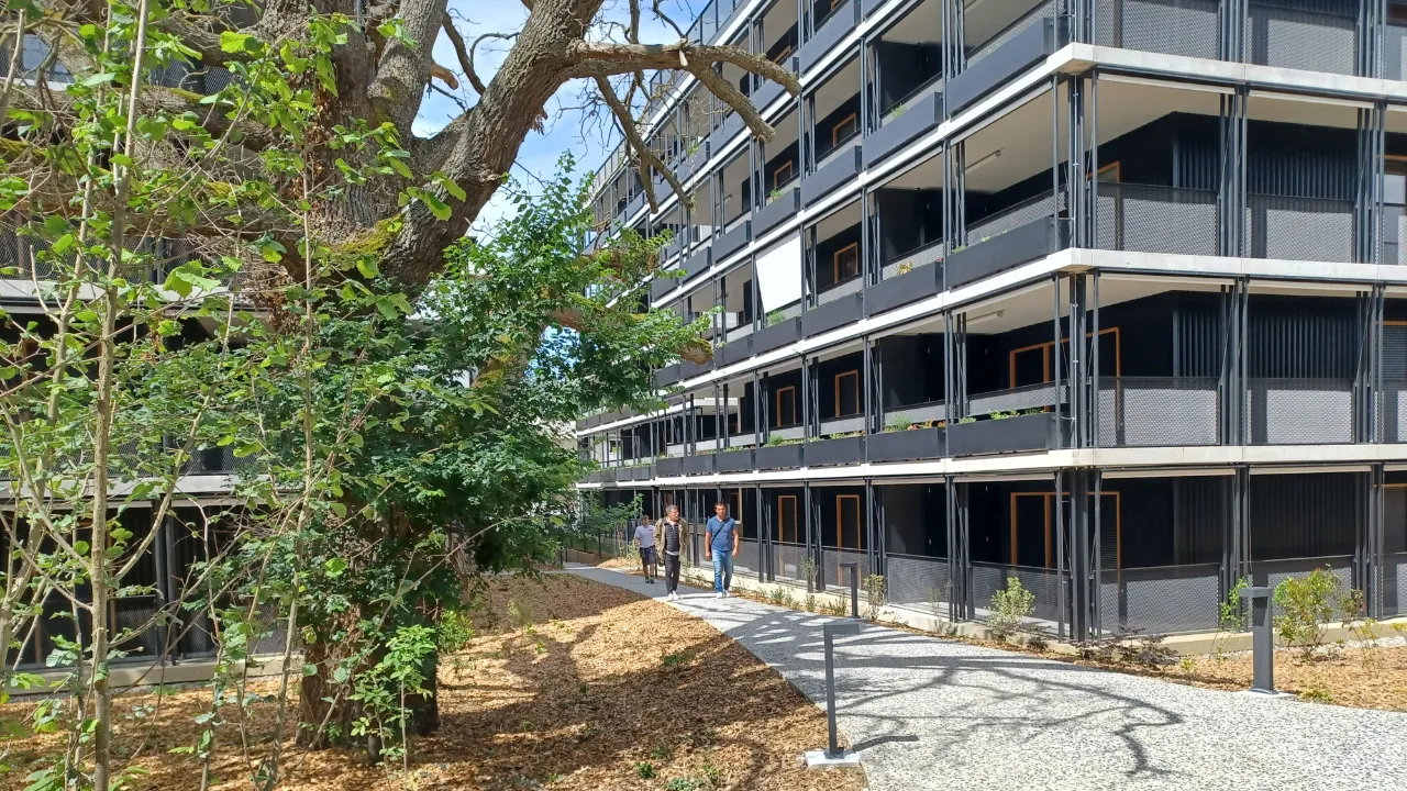 Image de la formation BDO