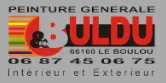 Logo de BULDU PEINTURE