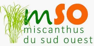 Logo de MSO
