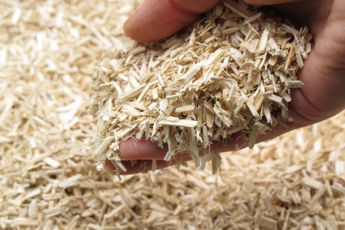 Lancement du Prix National de la Construction Chanvre