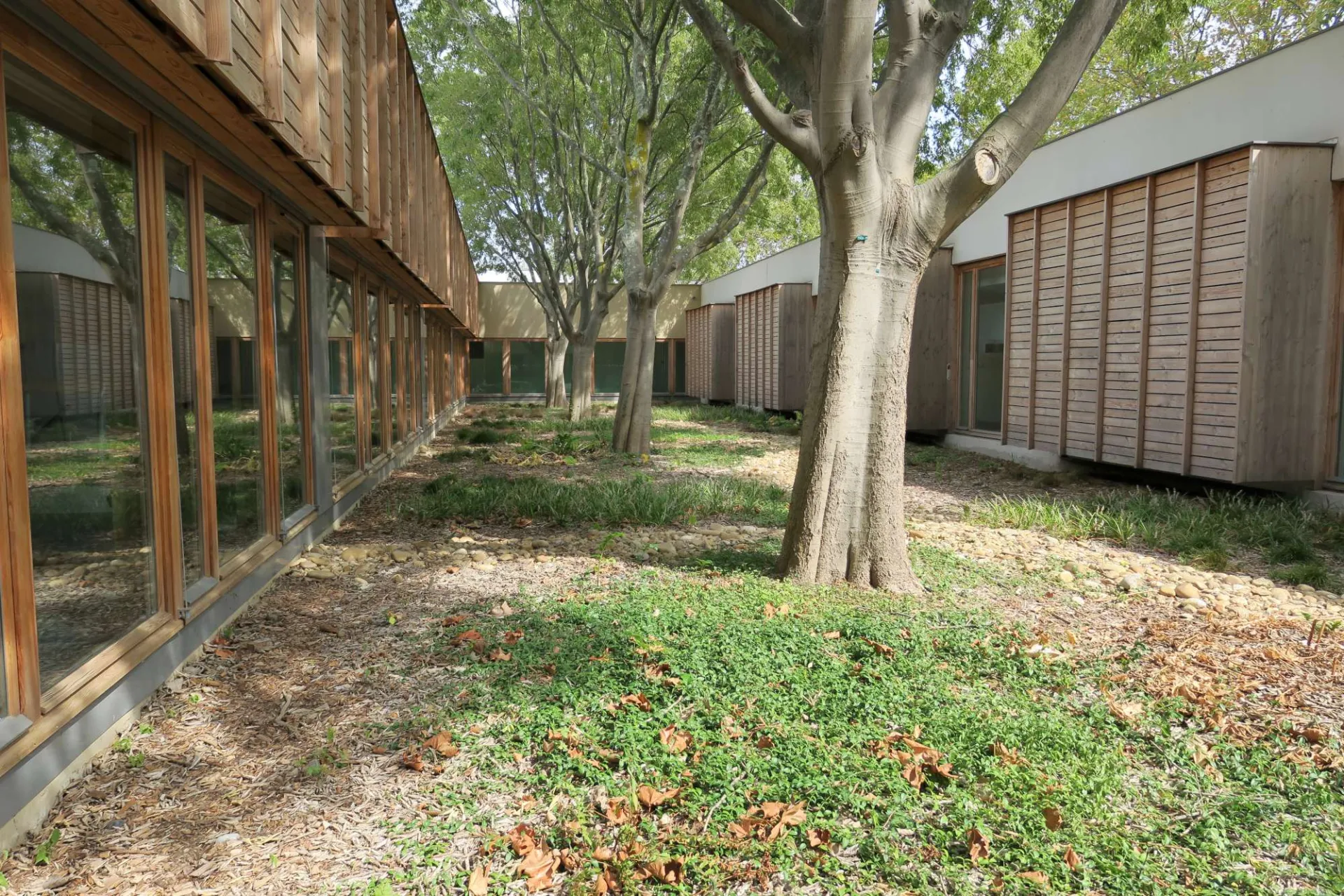 Groupe scolaire de Courbessac | Nîmes (30) - Logo