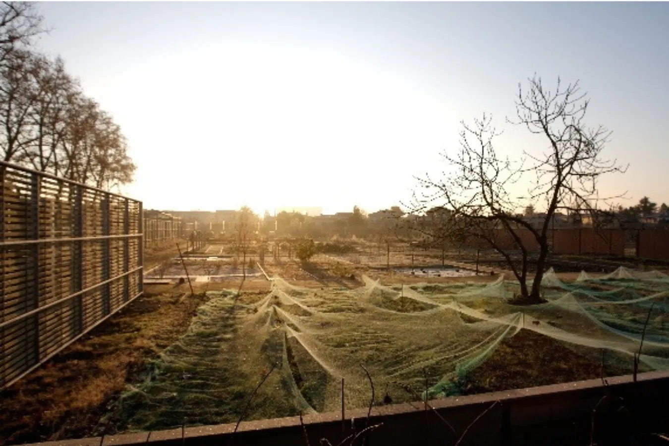 Les jardins du Muséum | Toulouse (31) - Logo