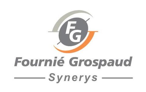 Logo de FG SYNERYS