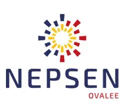 Logo de Nepsen