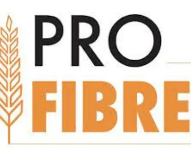 Logo de PROFIBRES