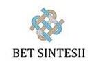 Logo de SINTESII