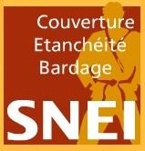Logo de SNEI
