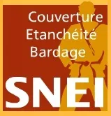 Logo de SNEI