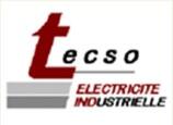 Logo de TECSO