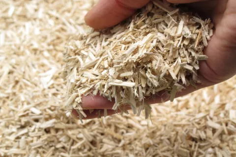 Lancement du Prix National de la Construction Chanvre