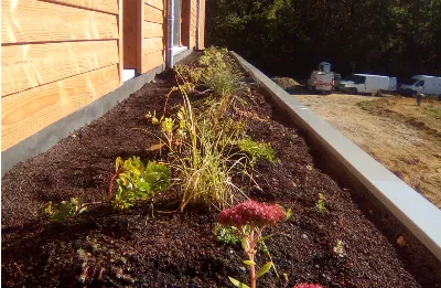 Visuel formation Toiture végétalisée