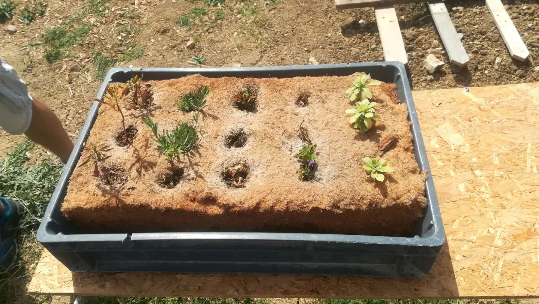 Macondo - valorisation d'isolant en fibre de bois pour les semis