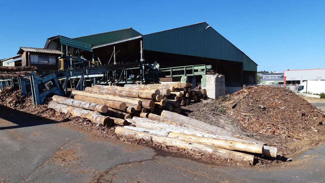 Scierie Falcon | Ecorçage