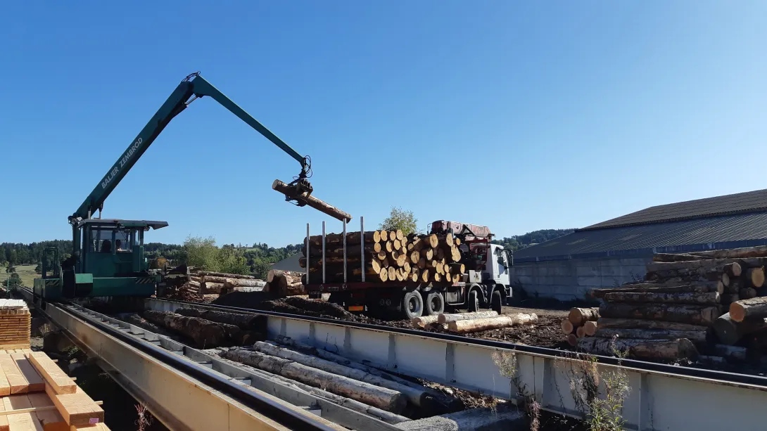 Scierie Falcon | Train