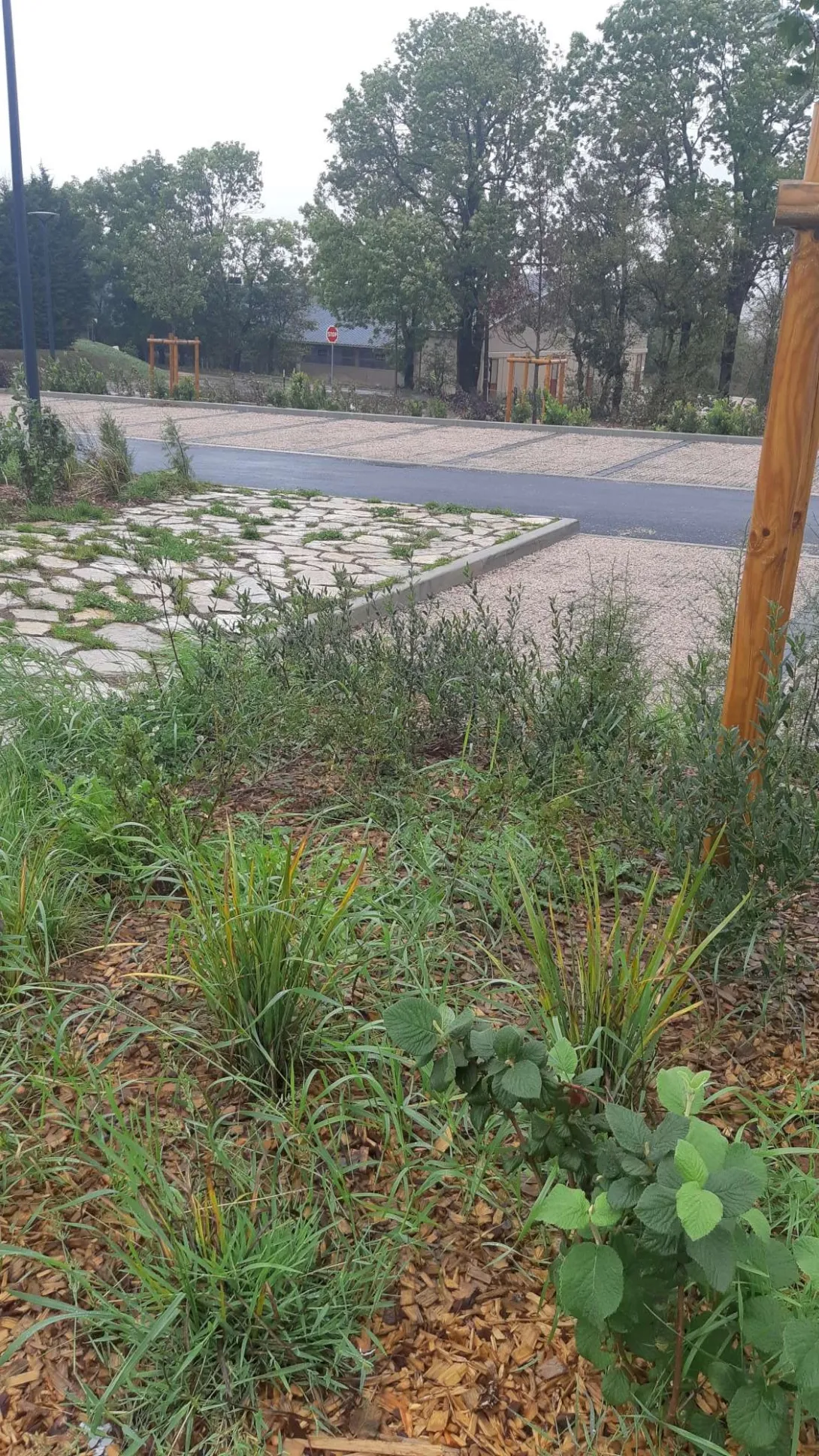 Emplacements de stationnement perméables et aménagements extérieurs végétalisés