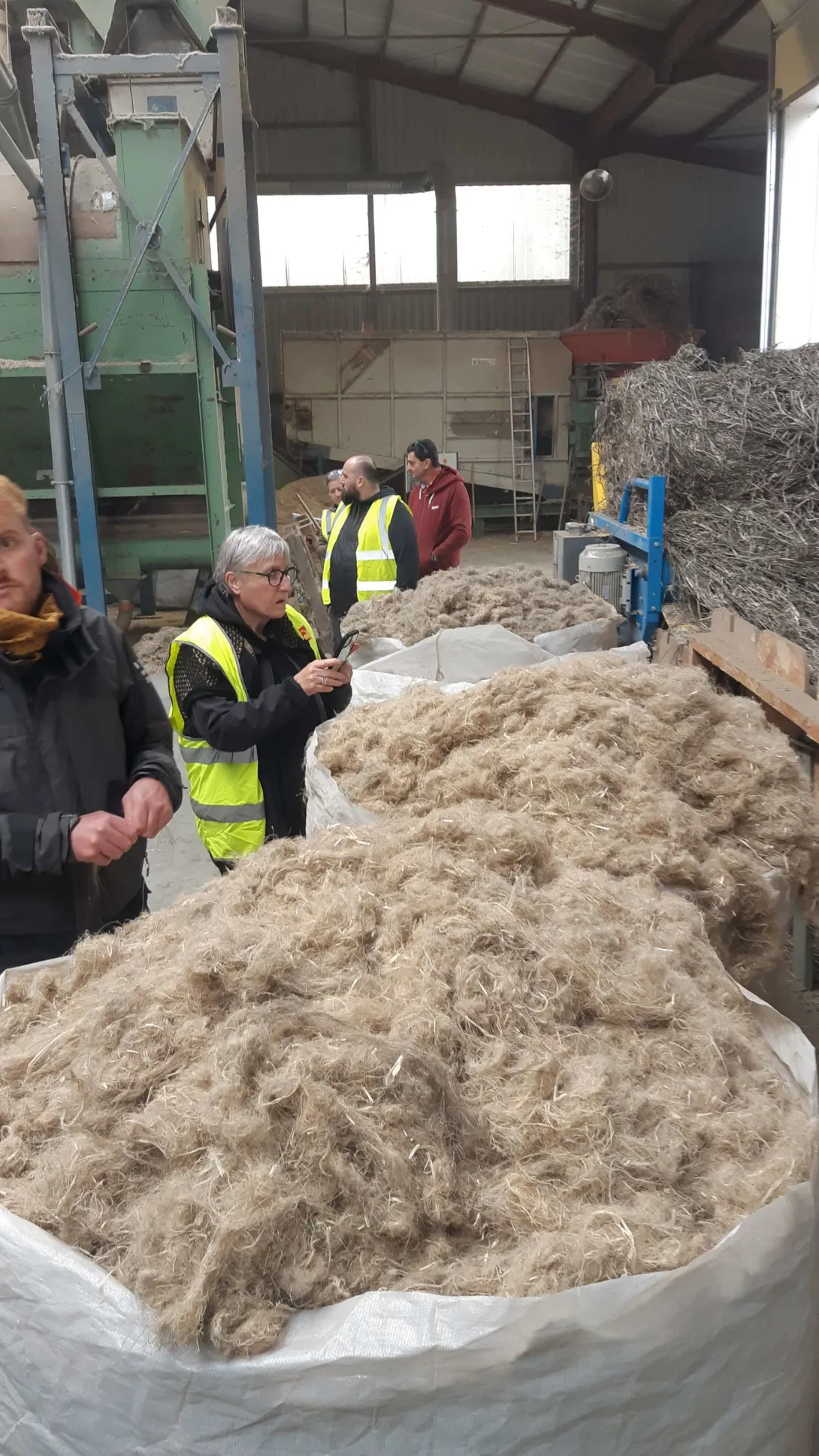 Les fibres plutôt courtes en sortie de défibrage