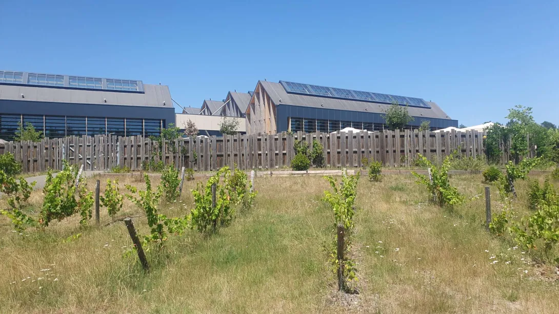 Les halles de l'Aqua Mundo en charpente mixte bois-métal
