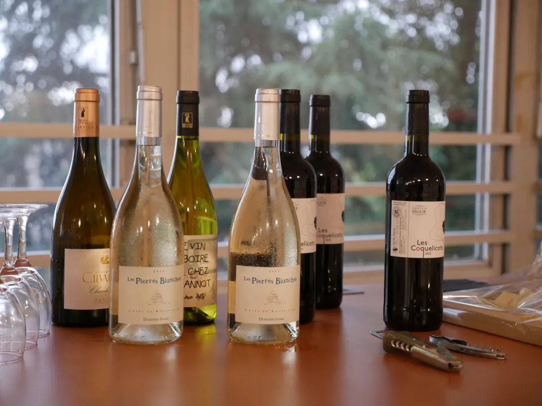 17-Vin | Biodiversité | 8