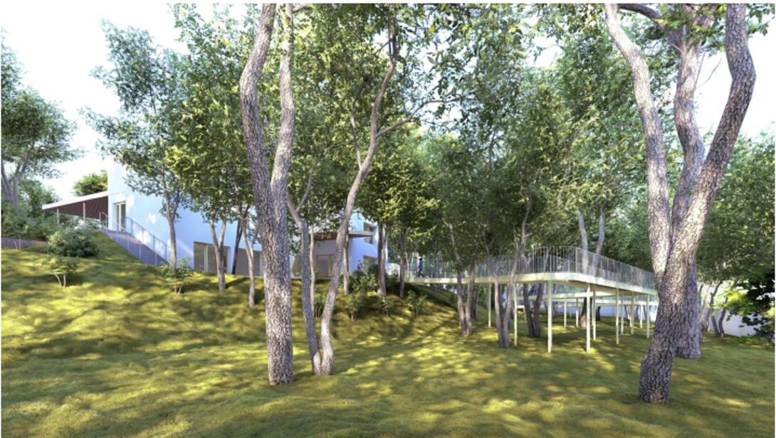 Insertion du projet dans le bois