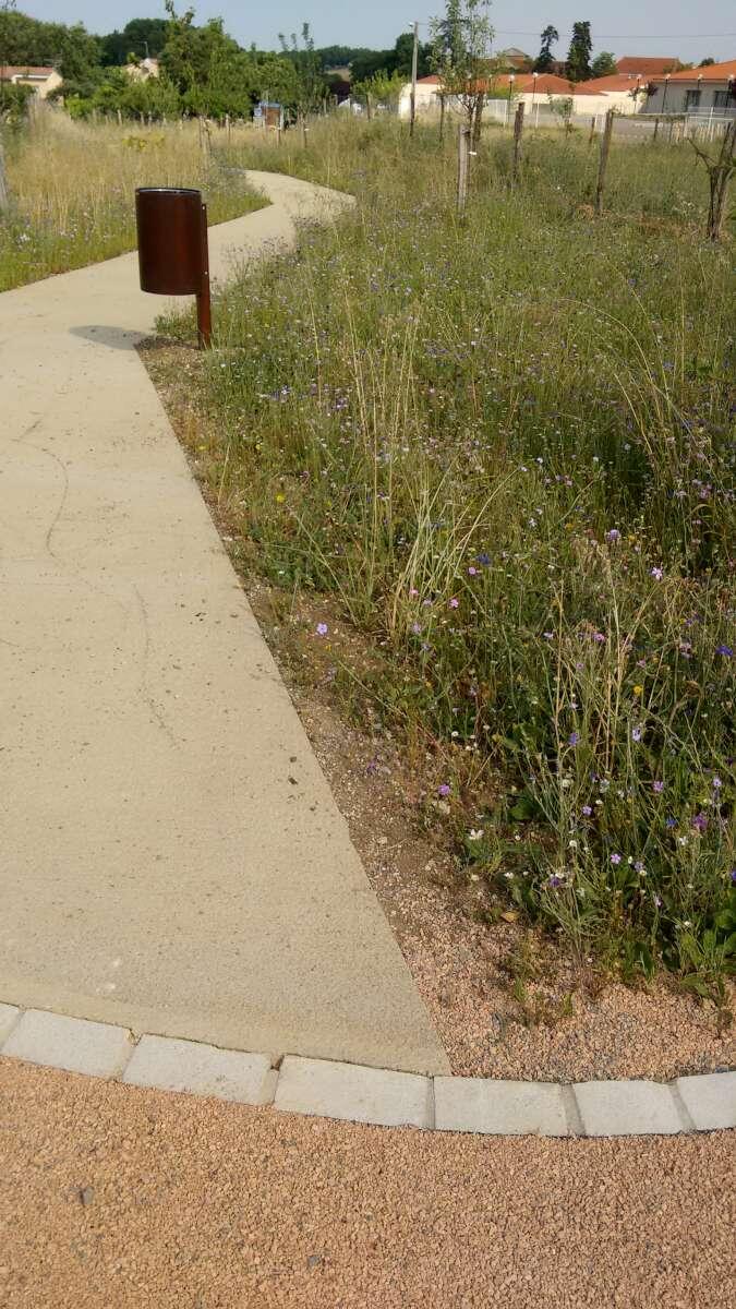 70. Liaison douce en béton balayé, prairie fleurie et bordures en pavés